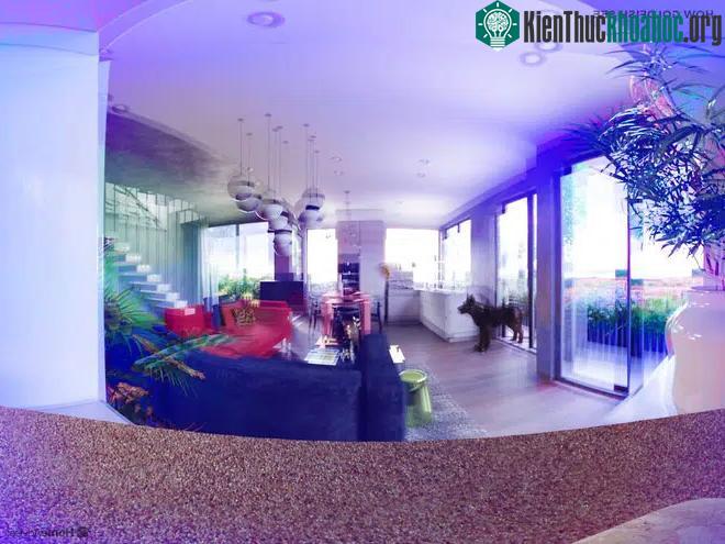 Tầm nhìn của cá vàng