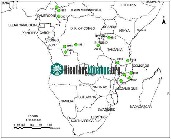 Có hơn 1.000 trường hợp trong đợt bùng phát Mozambique năm 1981.