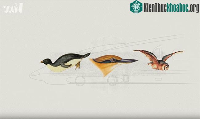 Bằng cách nhái lại tự nhiên, chúng ta có thể tự tạo cho mình một thế giới vận hành hiệu quả hơn.