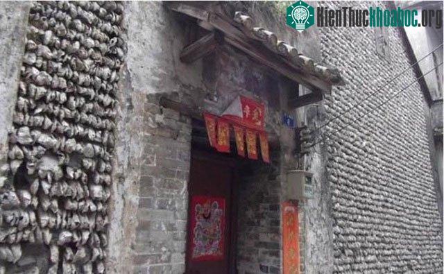 Cận cảnh nếp nhà cổ làm từ hàng chục nghìn vỏ hàu.