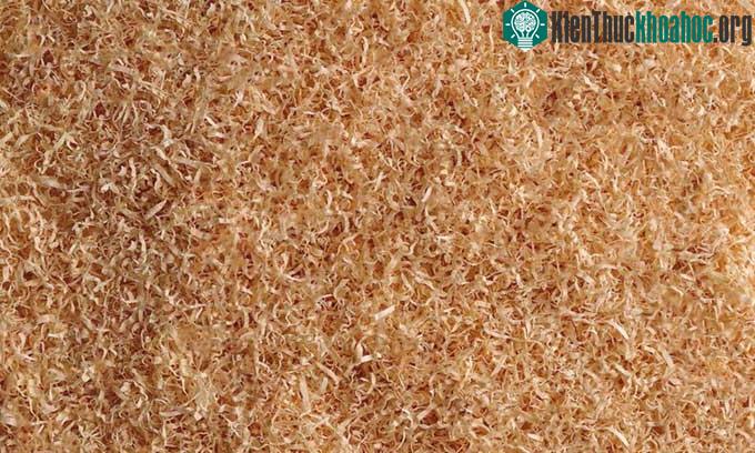 Bột gỗ được sử dụng để chế tạo nhựa sinh học phân hủy nhanh.