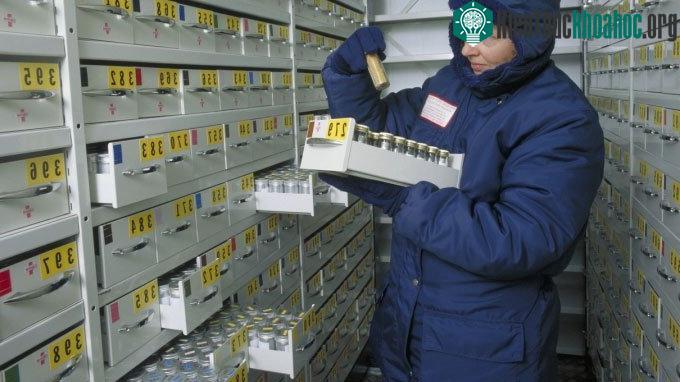 Những phát hiện thú vị về thế giới loài nấm ảnh 0