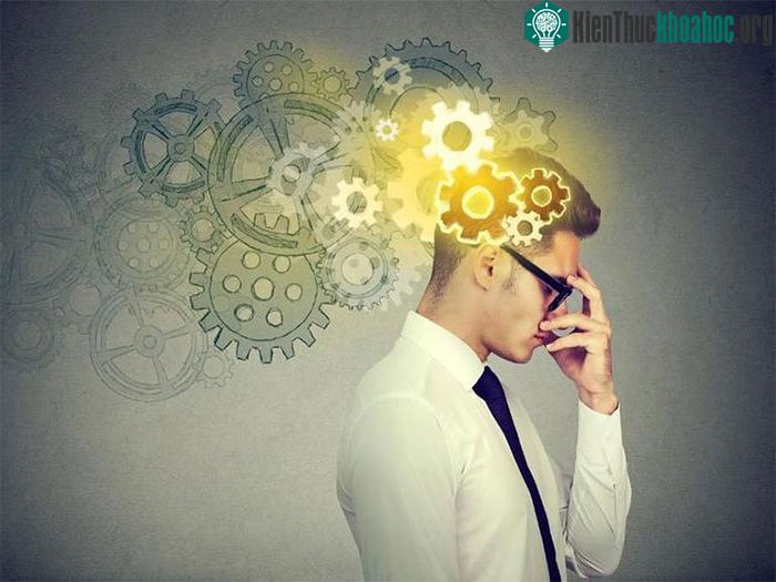 Người thông minh thường là "cú đêm"