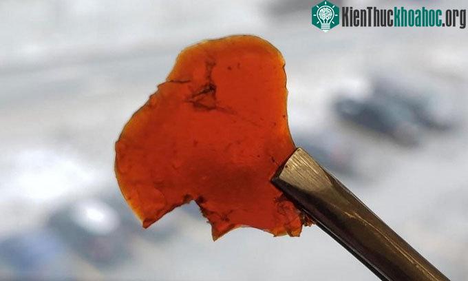 Phế phẩm cá có thể được sử dụng để sản xuất nhựa sinh học.