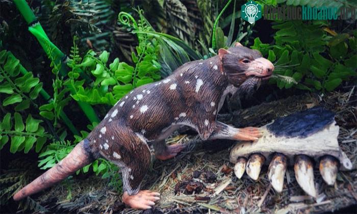 Orretherium tzen là động vật ăn tạp, trông giống chồn hôi và sống trong kỷ Phấn trắng muộn