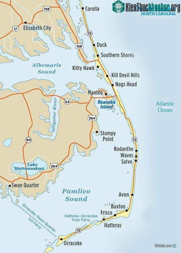 Đi sâu vào đất liền khoảng chừng 50km, bạn sẽ bắt gặp những khu rừng đang chết ở Outer Banks.