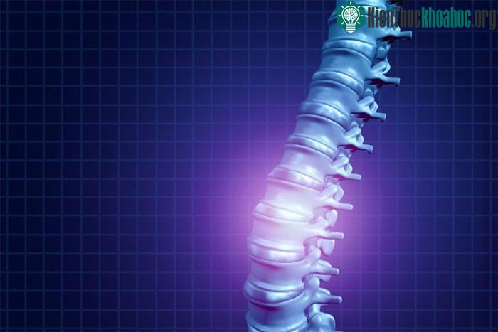 13 trường hợp nghiên cứu không gây tác dụng phụ ở người thử nghiệm.