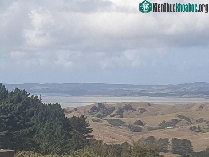 Mực nước thấp bất thường ở cảng Kaipara, New Zealand.