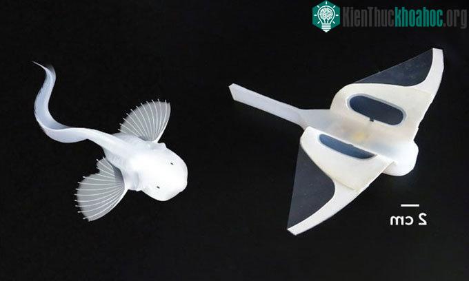Robot thám hiểm biển sâu mới lấy cảm hứng từ cá sên Mariana.