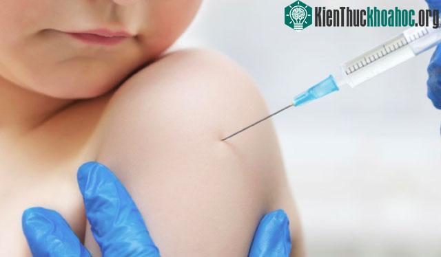 Có 4 mức độ phản vệ nhanh diễn tiến nặng.