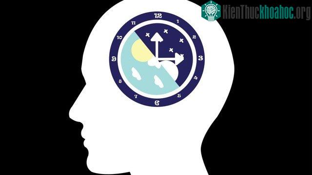 Ánh sáng nhân tạo đang làm thay đổi nhịp sinh học của chúng ta.