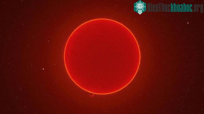 Hình ảnh rõ nét nhất của Mặt trời được McCarthy ghép từ 100.000 bức ảnh khác nhau