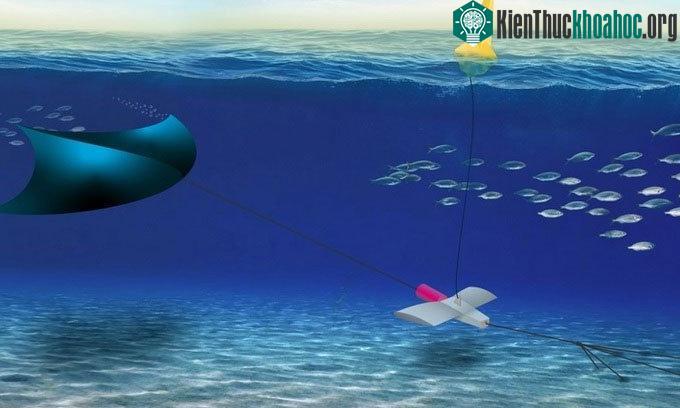 Thiết kế của hệ thống sản xuất điện Manta.