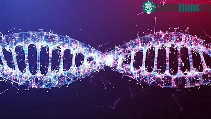 Khi nói đến chỉnh sửa gene, CRISPR-Cas9 là kỹ thuật được biết đến nhiều nhất