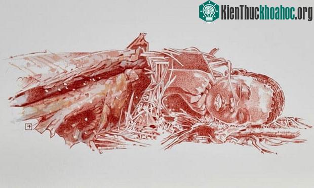 Phác họa về việc chôn cất Mtoto, Mtoto có thể được quấn khăn và gối đầu lên.