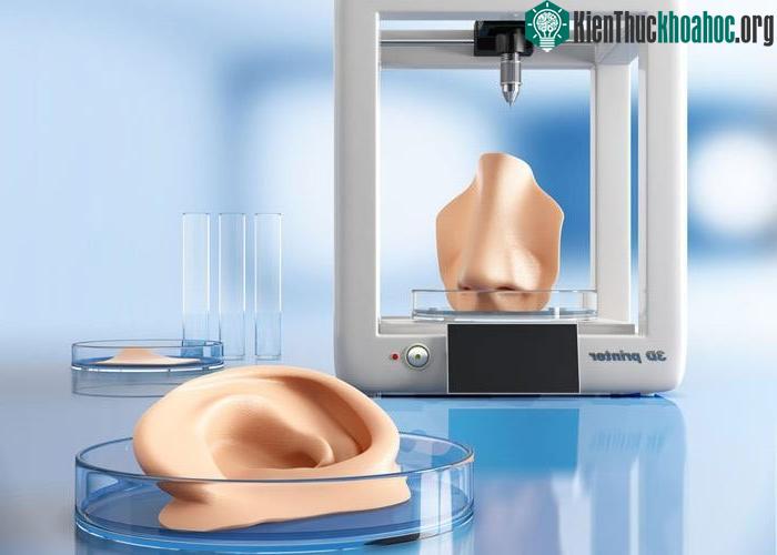 Công nghệ in sinh học 3D tạo ra sụn có thể điều chỉnh được hình dạng.