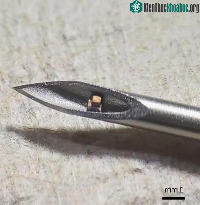 Thiết kế chip cảm biến hình lập phương, mỗi cạnh 0.3mm.