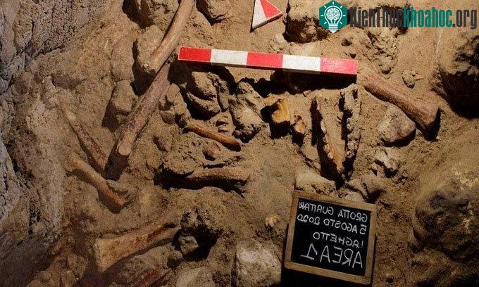 Phát hiện hài cốt của 9 người Neanderthal bị linh cẩu tấn công ảnh 0