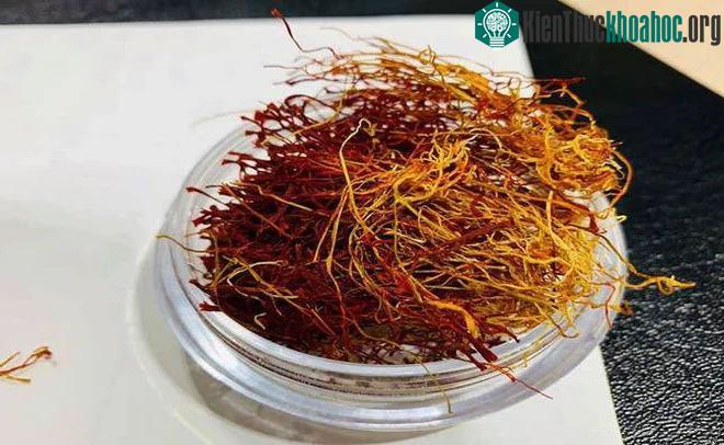 Saffron - nhuỵ hoa nghệ tây