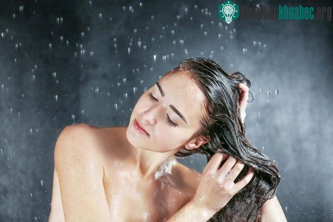 Chúng ta không cần thiết phải gội đầu mỗi ngày.