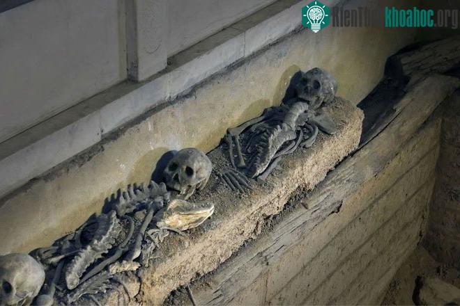 Hủ tục mai táng bất nhân này xuất phát từ lòng tham vô đáy của chủ nhân ngôi mộ.
