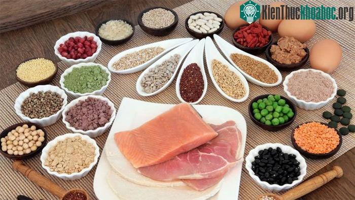 Tiêu thụ nhiều protein có tác động tối thiểu đến quá trình hydrat hóa.