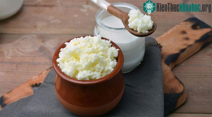 Lợi khuẩn trong kefir có thể tác động lên cách cơ thể chúng ta hấp thụ cholesterol từ thức ăn.