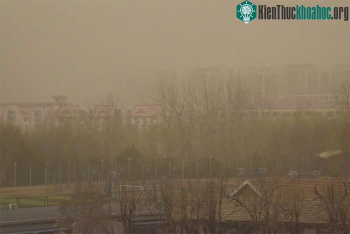 Các ảnh chụp từ trên không cho thấy một đám mây bụi màu vàng bao trùm