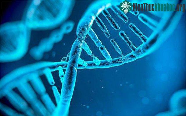 RLR cho phép thực hiện một số thứ mà CRISPR không thể làm được.