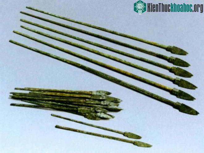 Những mũi tên được bảo quản rất hoàn chỉnh.
