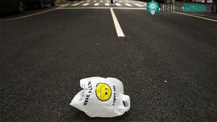 Rác thải nhựa đang là một vấn đề lớn đối với môi trường.