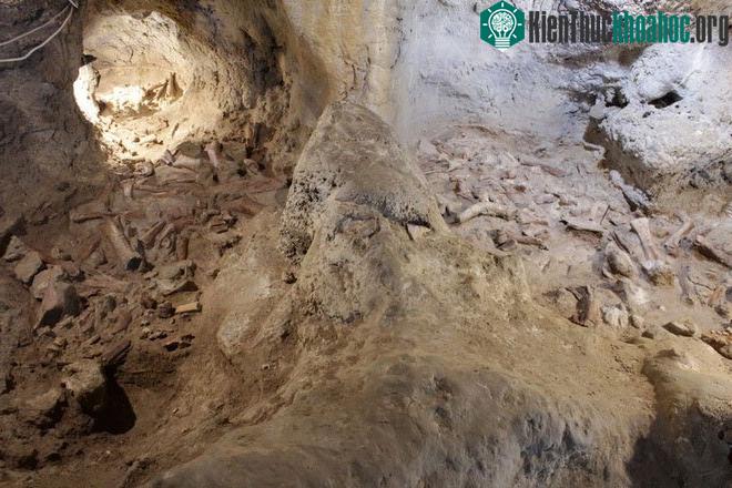 Phát hiện hài cốt của 9 người Neanderthal bị linh cẩu tấn công ảnh 1