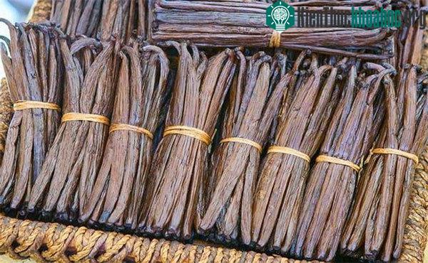 Vanilla rất hiếm và giá thành cực đắt đỏ.