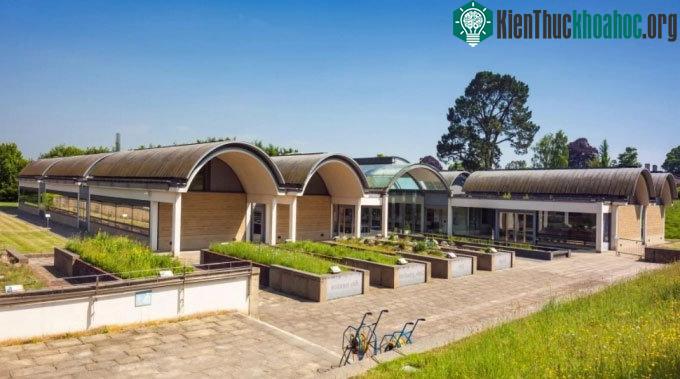 Những phát hiện thú vị về thế giới loài nấm ảnh 2