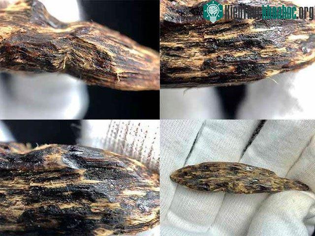 Hình chụp sắc nét khối trầm hương chìm nước. Thớ dầu đen và nhiễm phần lớn khối gỗ.