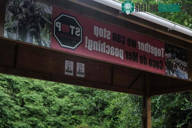 Khẩu hiệu "Chúng ta có thể ngăn chặn nạn trộm cắp hạt coco de mer" trên đảo Praslin.