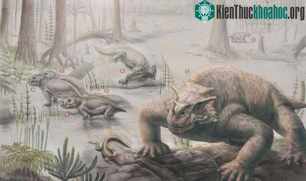 Phải mất 10 triệu năm sự sống trên Trái đất mới có thể phục hồi sau sự kiện "The Great Dying" ảnh 2
