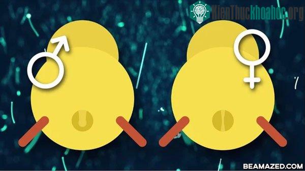 Nước Mỹ treo giải 6 triệu USD cho ai nghĩ ra giải pháp mới
