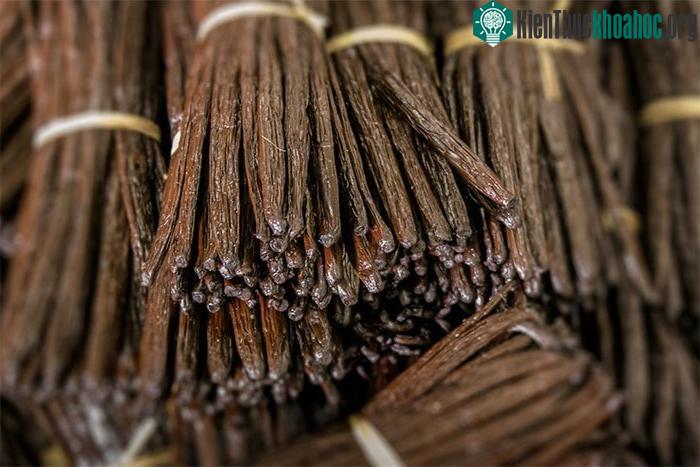 Vani - Loại hương liệu đắt thứ 2 thế giới với cái giá đầy biến động ảnh 3