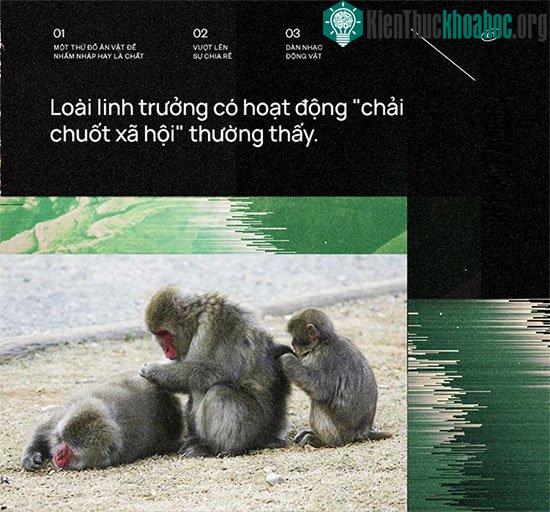 Nghe từ bé đến giờ, đã bao giờ bạn tự hỏi "Âm nhạc tới từ đâu?" ảnh 3