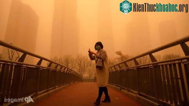 Hiện tượng này thường xuất hiện vào tháng 3 và tháng 4.