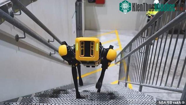Xem chó robot trị giá 1,7 tỷ đồng của quân đội Pháp "trổ tài" chiến đấu ảnh 3