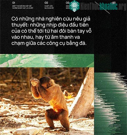 Nghe từ bé đến giờ, đã bao giờ bạn tự hỏi "Âm nhạc tới từ đâu?" ảnh 4