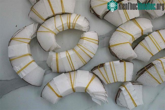Vỏ coco de mer được trưng bày trong một cửa hàng lưu niệm ở sân bay quốc tế Seychelles