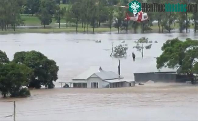 Trực thăng giải cứu một người mắc kẹt trên mái nhà ở Taree, New South Wales.