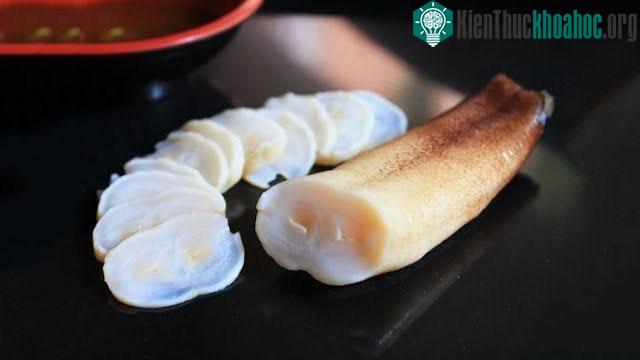Ốc vòi voi