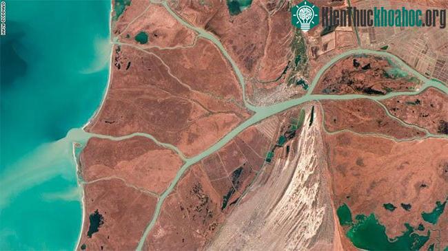 Khu bảo tồn sinh quyển Danube