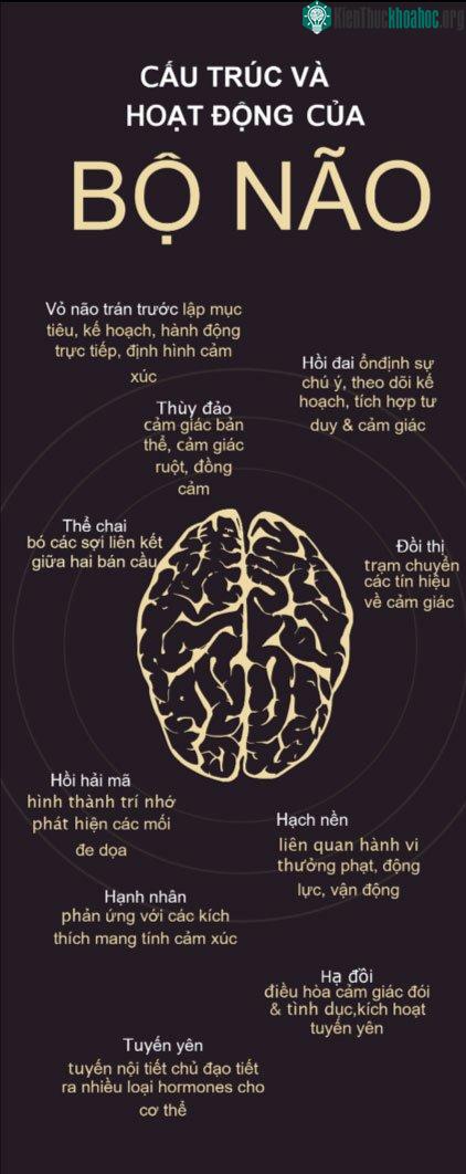 Hình ảnh học sọ não được khảo sát cho từng đối tượng trước và sau khóa thực hành