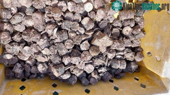 Số kim loại kẽm dạng tiền xu được người dân trục vớt, chất vào bao, khay đựng cá.