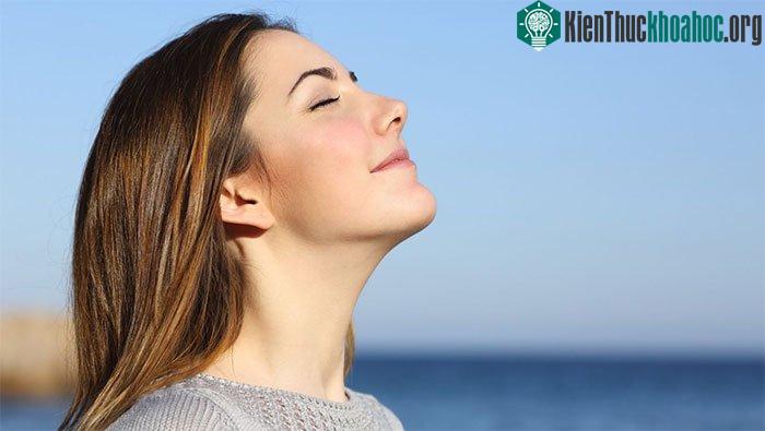 Tại bất kỳ thời điểm nào, con người chỉ thở bằng một lỗ mũi.